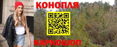 спиды Славгород