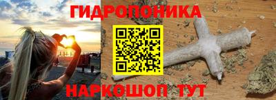 спиды Славгород