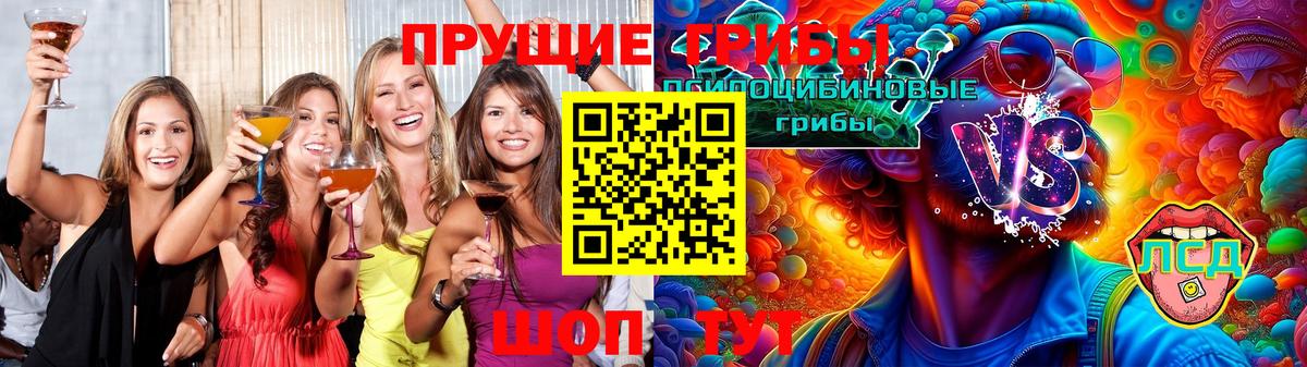 Магадан  купить  сайты  Вход с VPN  Псилоцибиновые грибы ЛСД 